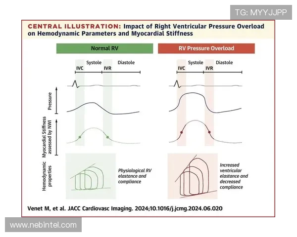 IG在精英赛中的个人能力分析与表现评估
